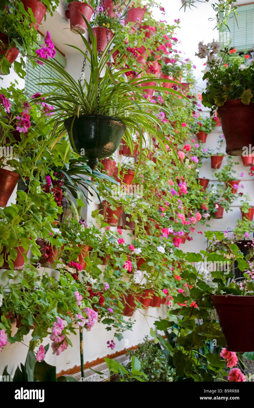 Tipicos Patios Con Flores En Cordoba Andalucia Espana Typical Patio With Flowers Cordova Andalusia Spain Stock Photo Alamy
