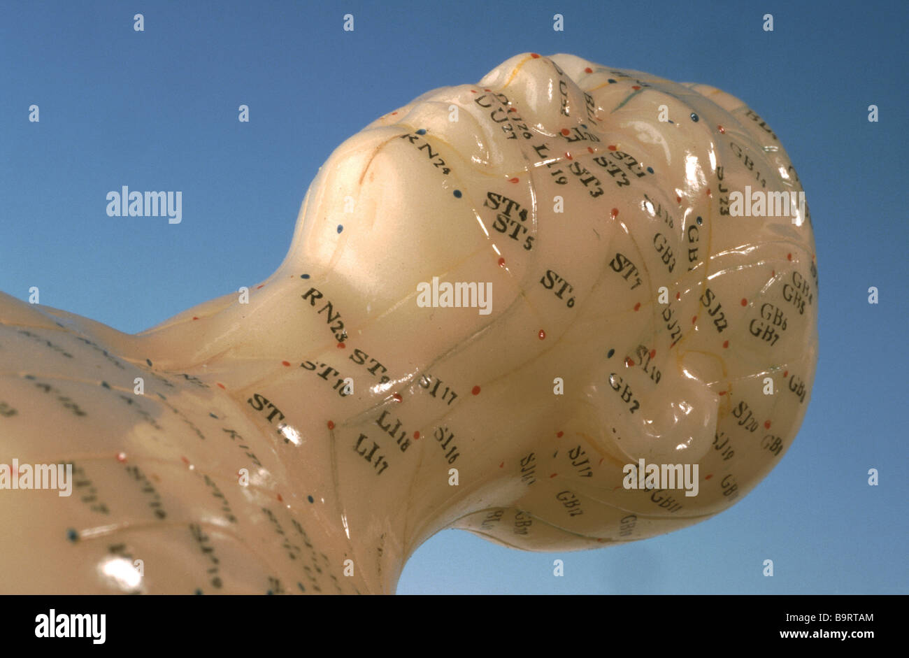 Acupuncture points hi-res stock photography and images - Alamy