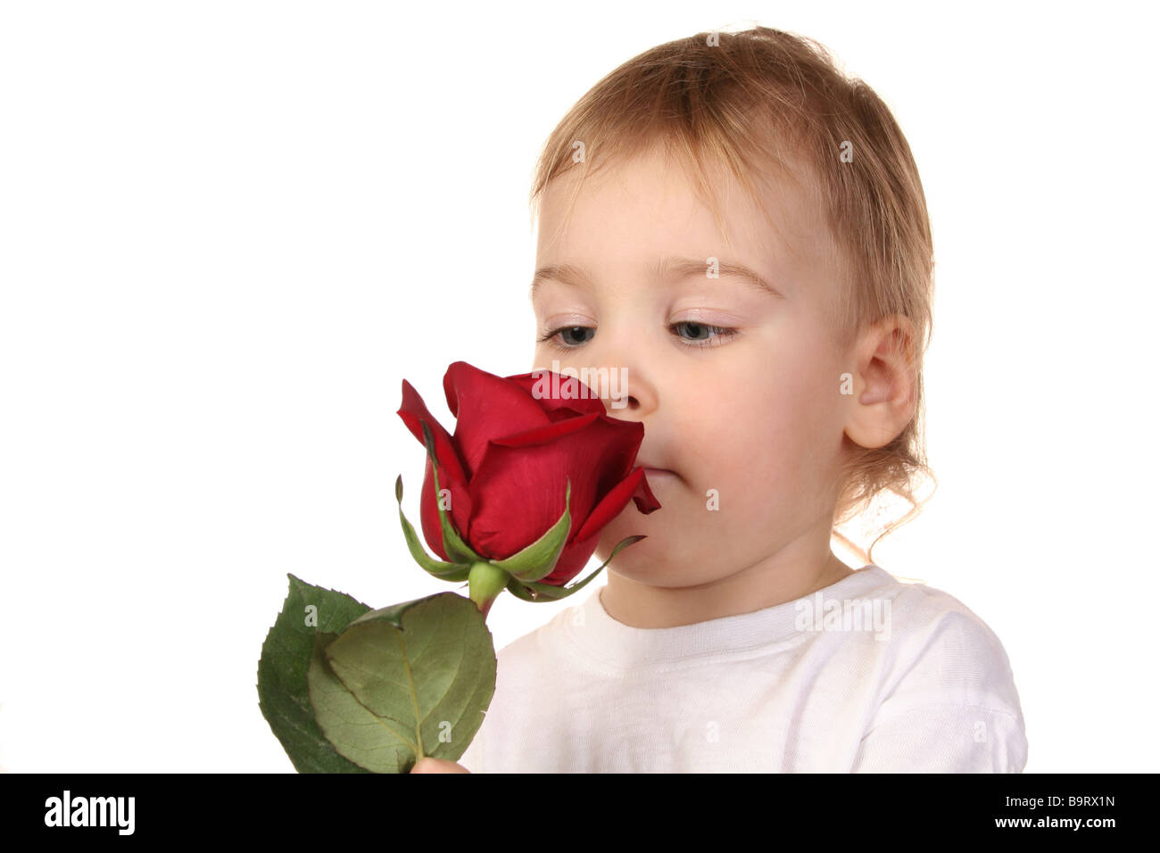 baby with rose Stock Photo - Alamy