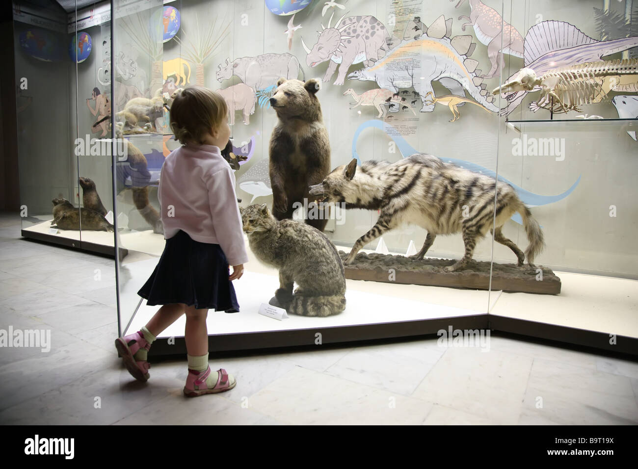 little girl in natural museum Stock Photo