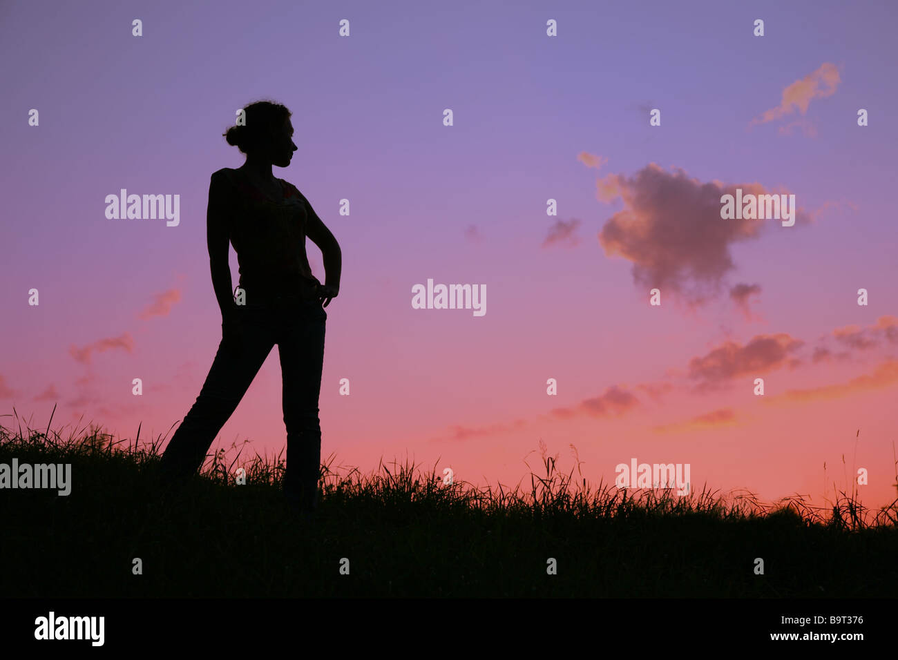 Womans hair silhouette hi-res stock photography and images - Alamy