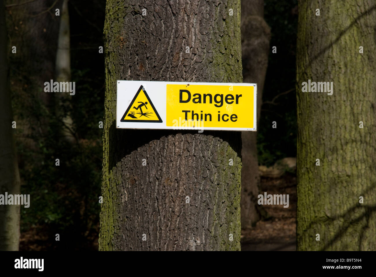 danger thin ice lake notice warning sign park tree wood bark wimbledon common nail Stock Photo