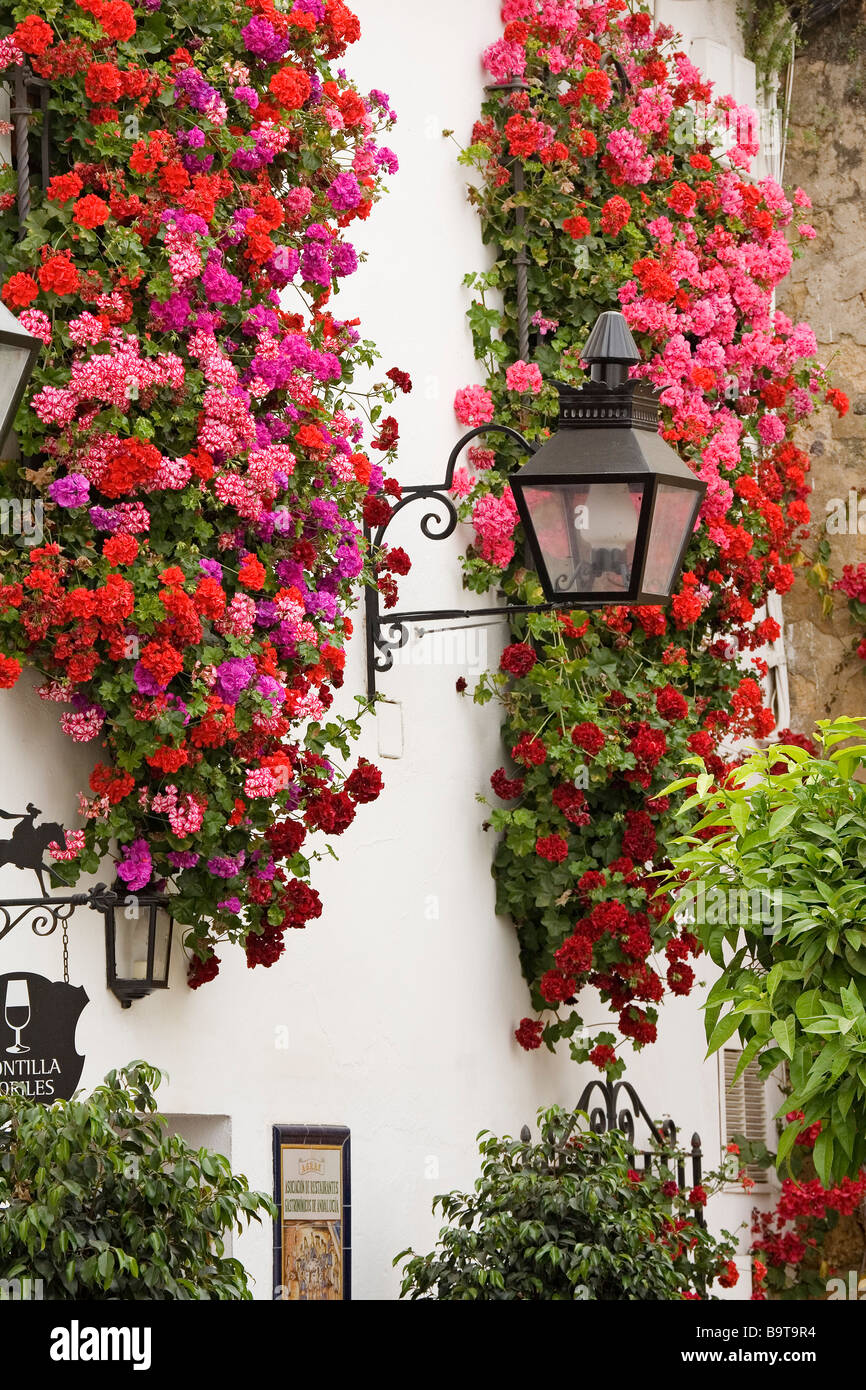 Balcones y Rejas con Flores Córdoba Andalucía España Typical Balconies and Grilles with Flowers Cordova Andalusia Spain Stock Photo