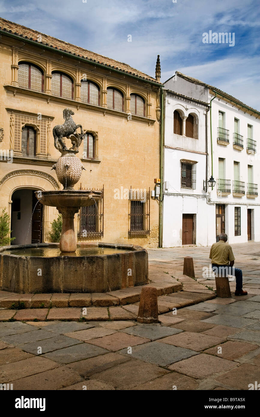 Plaza del Potro and Provincial Museum of Fine Arts Cordova Andalusia Spain Stock Photo