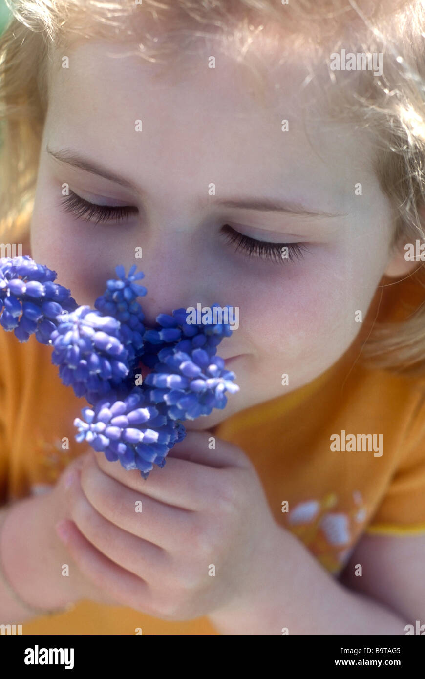 First Smell of Spring Stock Photo Alamy