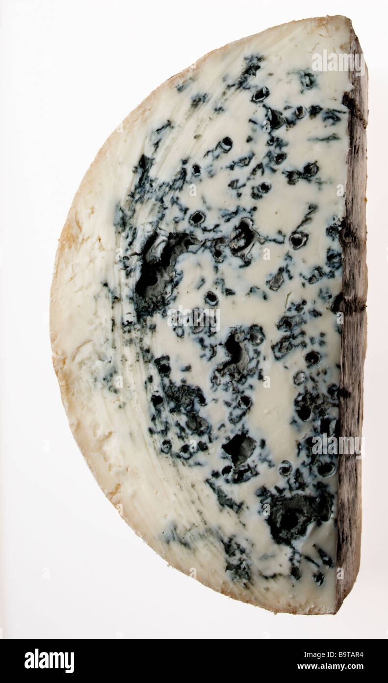 Gorgonzola cheese Stock Photo