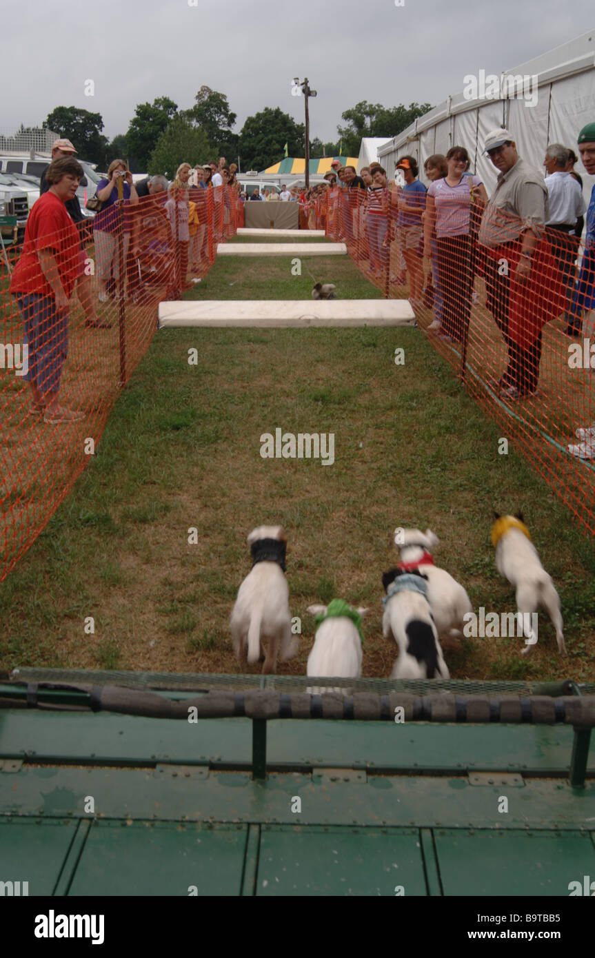 Race ribbons hi-res stock photography and images - Alamy