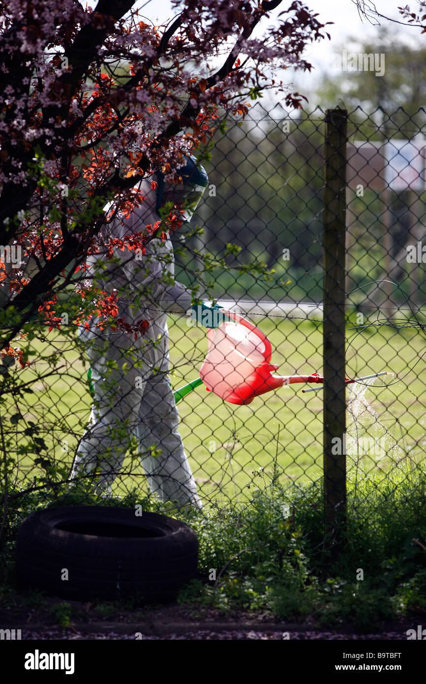 Gardener spraying plants. Stock Photo