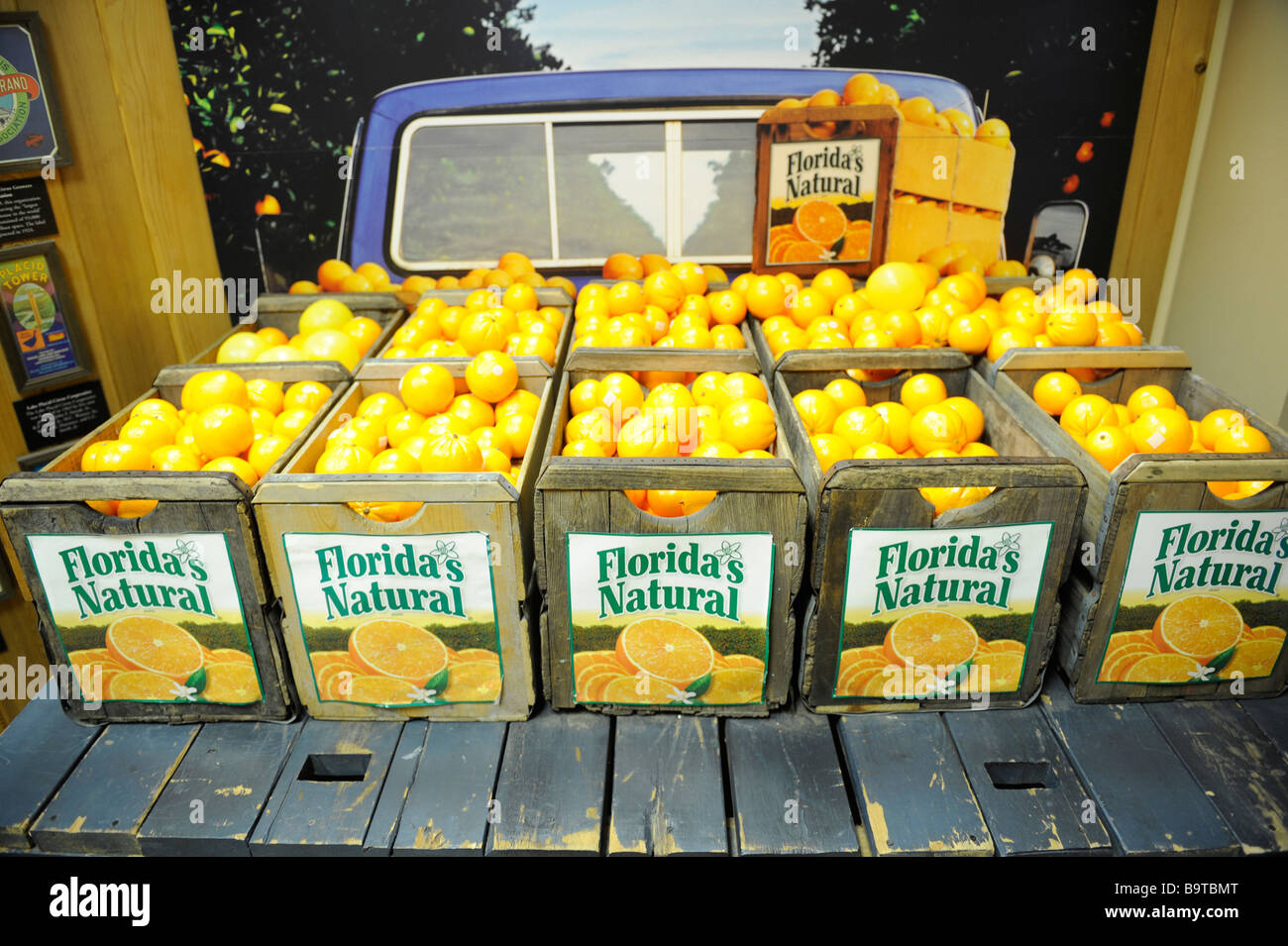Pickup truck advertising Florida Natural fruit Stock Photo