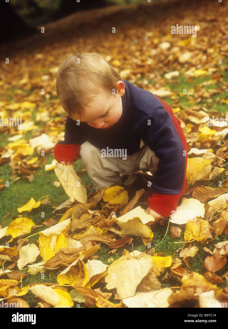 Child collect autumn leaves hi-res stock photography and images - Alamy