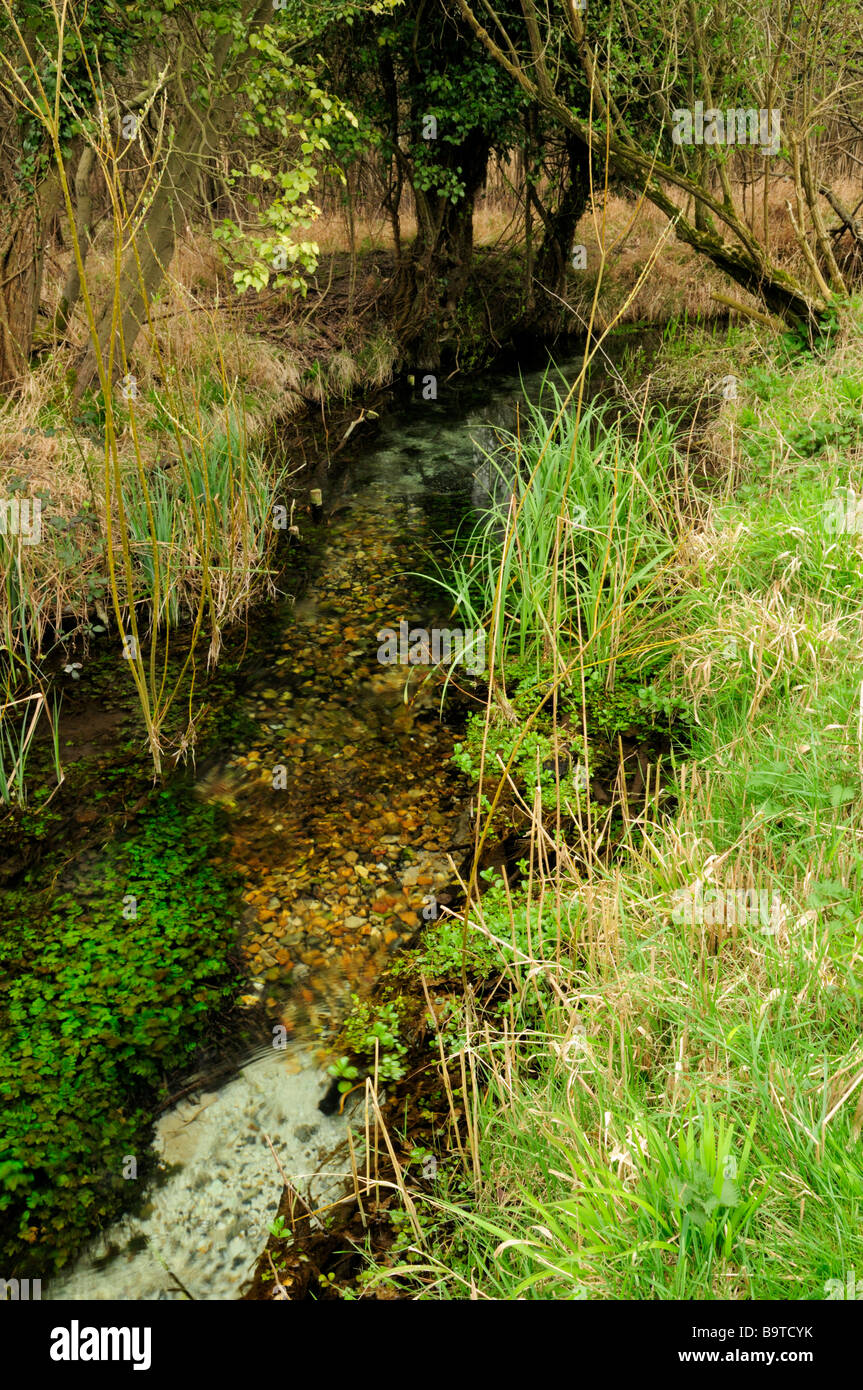 Chalk_stream High Resolution Stock Photography and Images Alamy