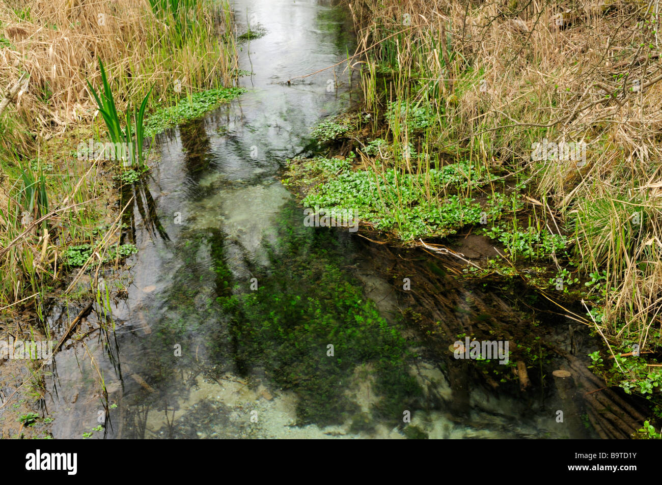 Chalk_stream hires stock photography and images Alamy