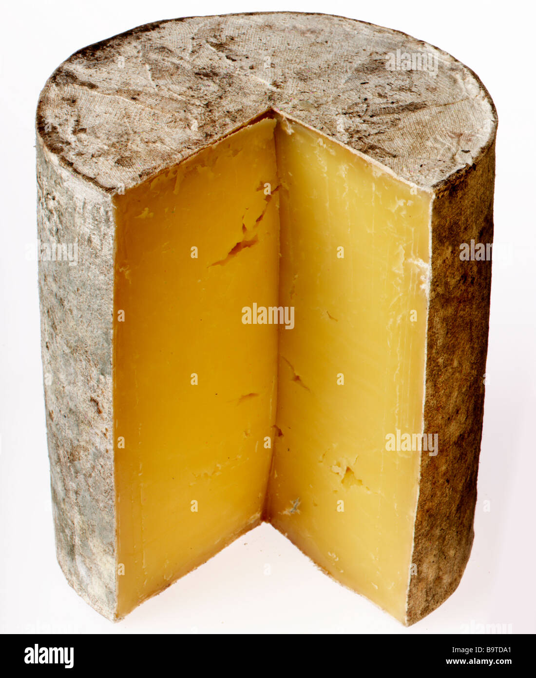 Farmhouse Cheddar Hi-res Stock Photography And Images - Alamy