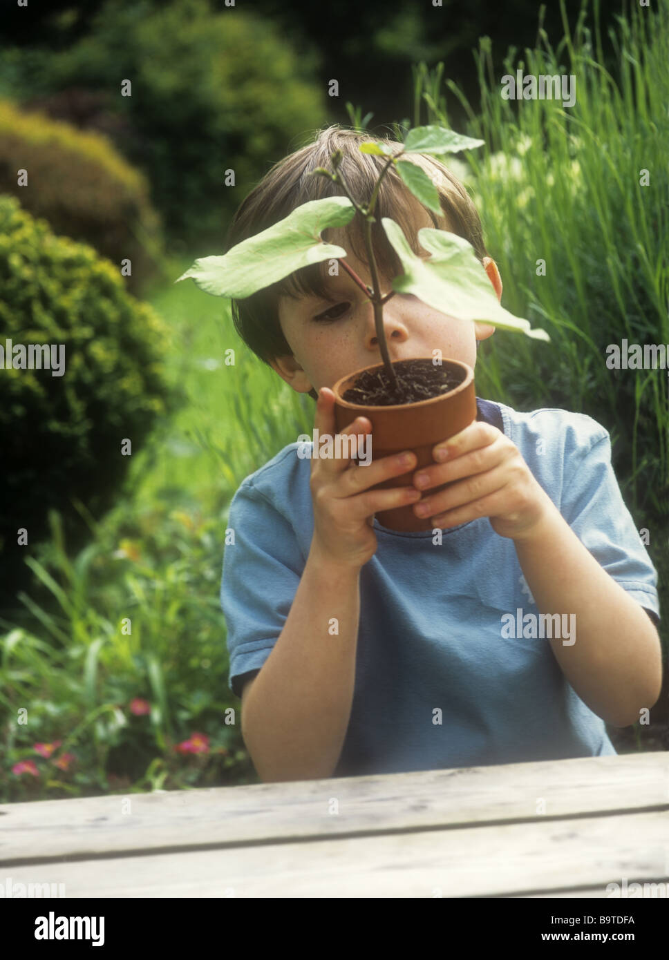 Saving runner bean hi-res stock photography and images - Alamy