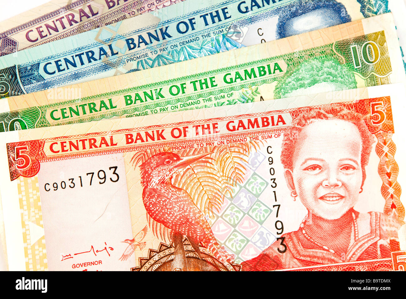 Money African currency selection of Gambian banknotes Stock Photo