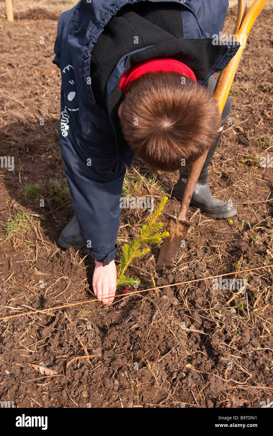 British child planting tree hi-res stock photography and images - Alamy