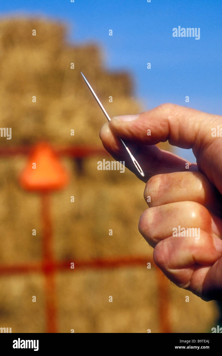 Finding A Needle In A Haystack Stock Photo Alamy