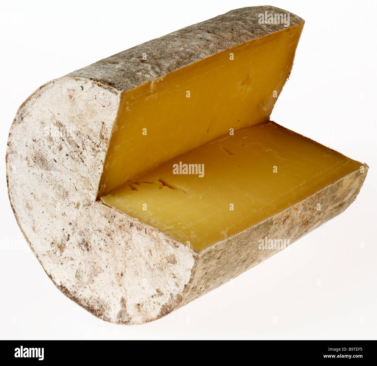 Cheddar cheese Stock Photo