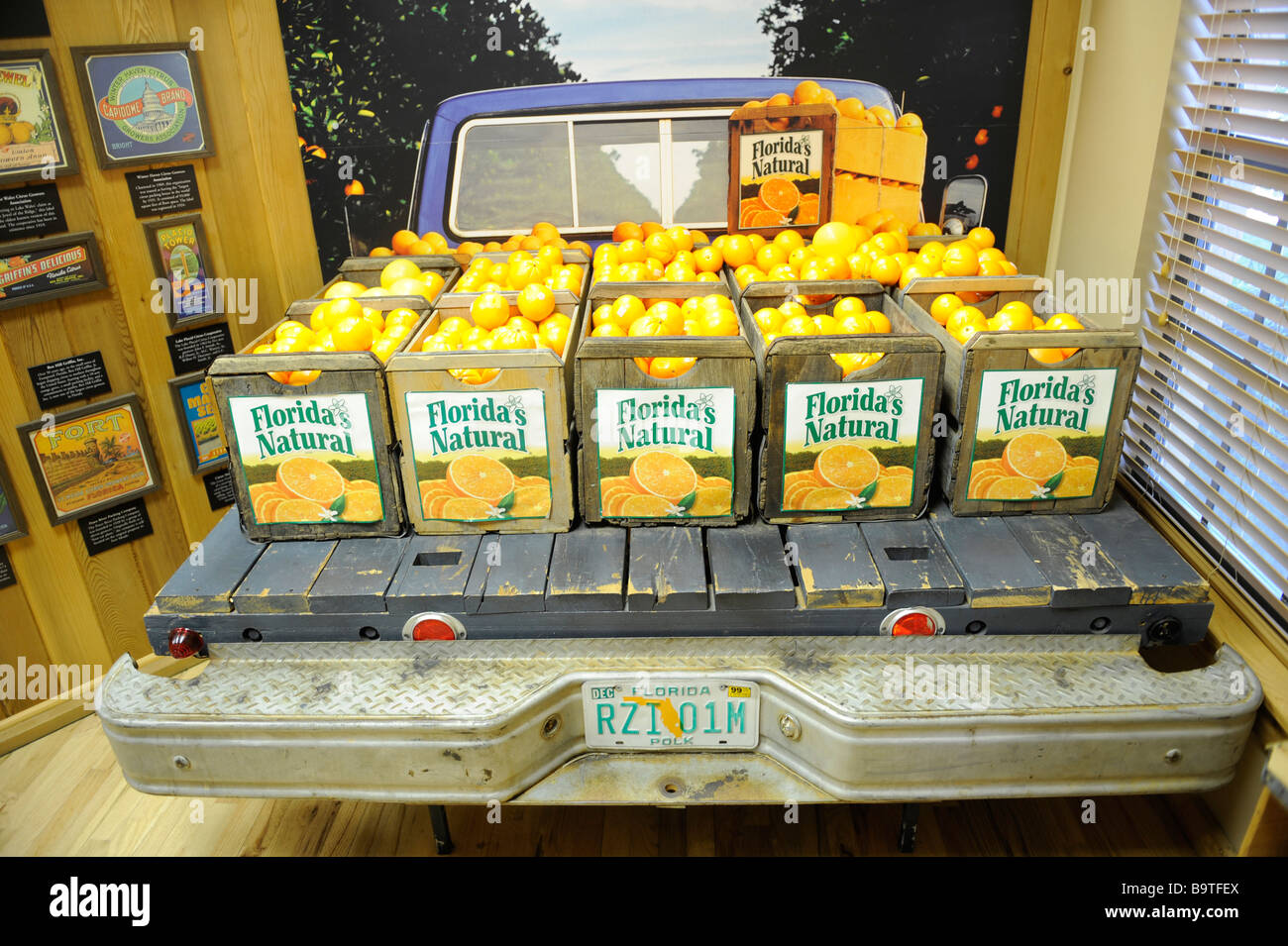 Pickup truck advertising Florida Natural fruit Stock Photo