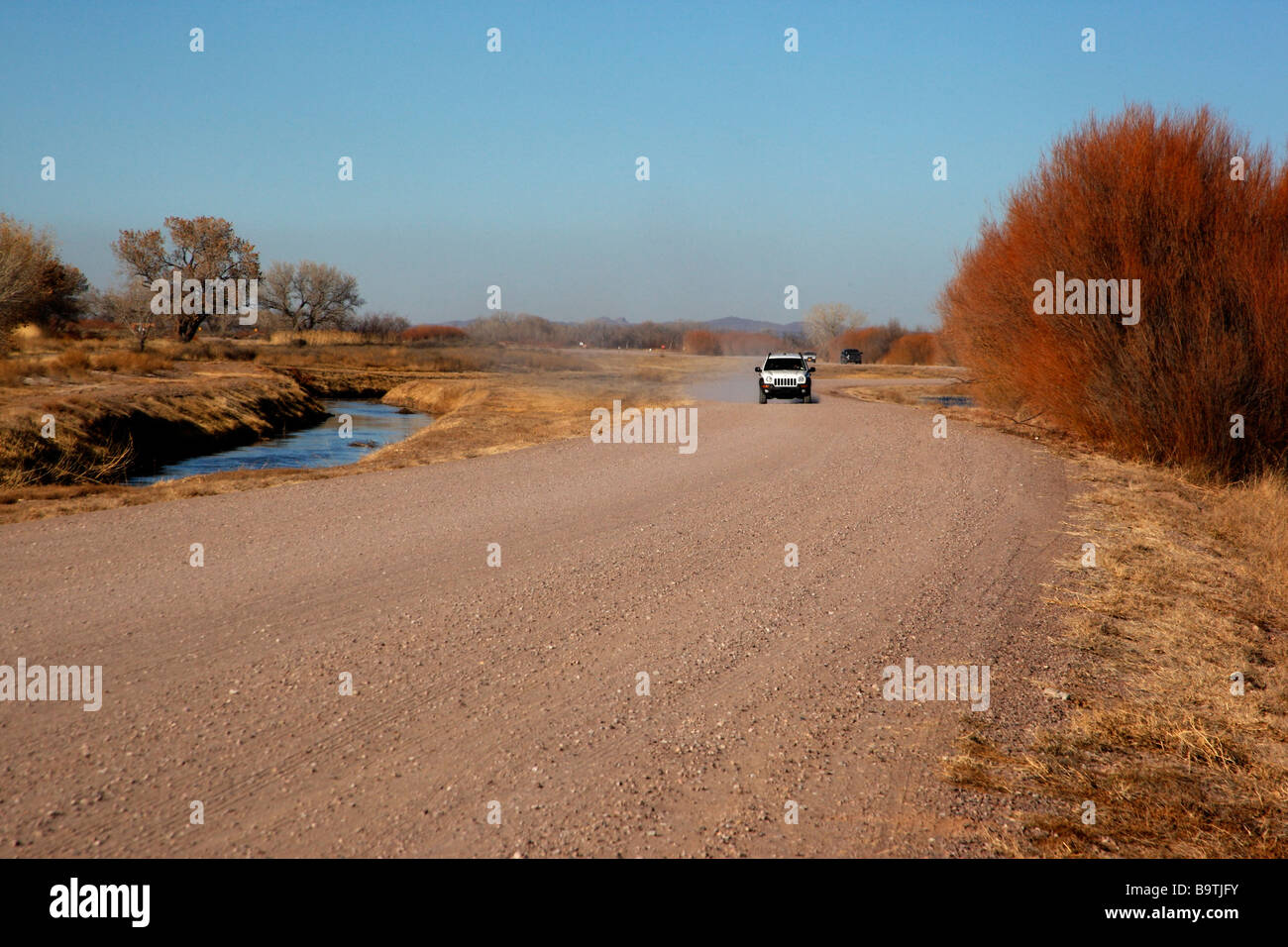 Bosque del hi-res stock photography and images - Alamy
