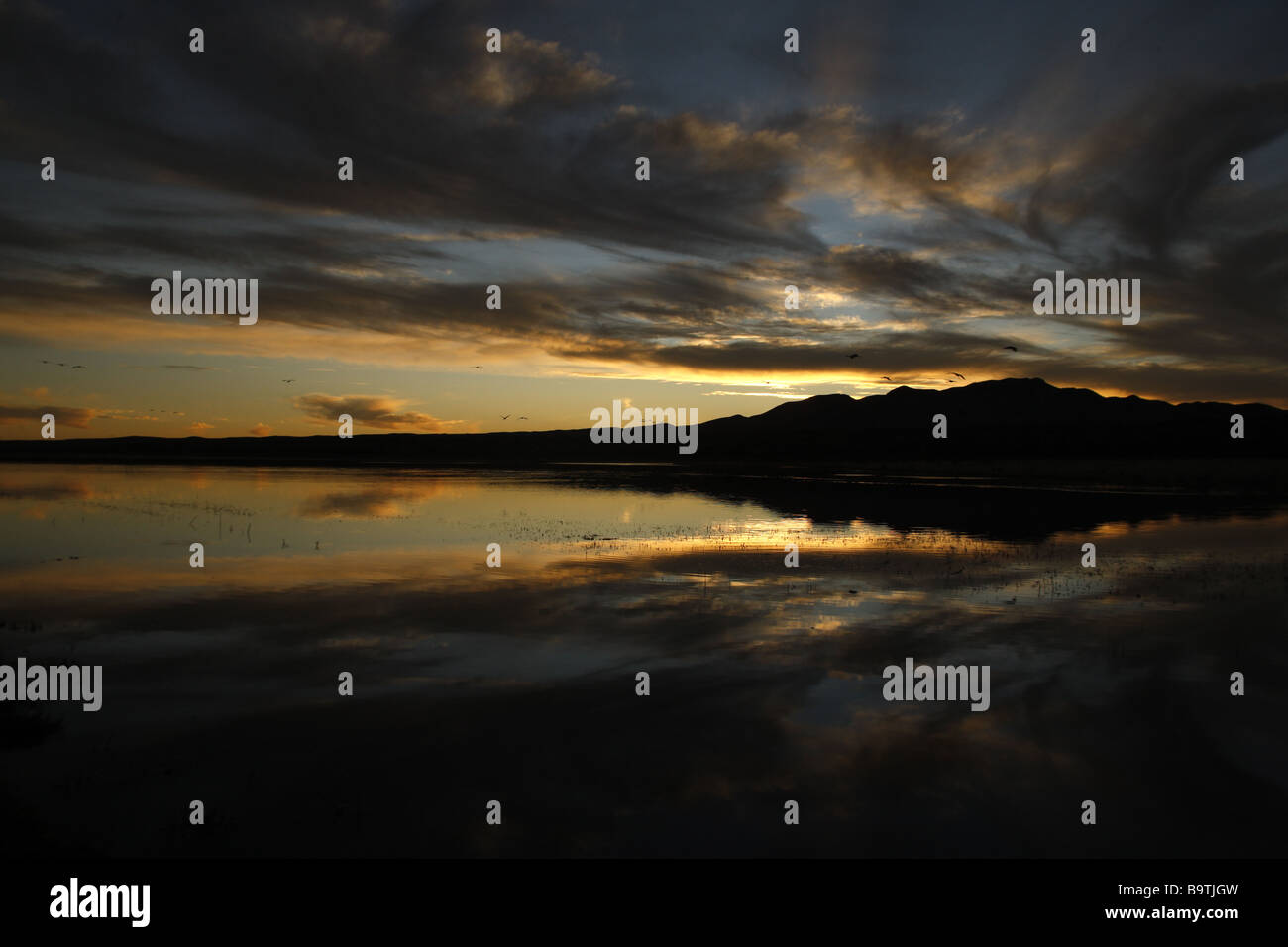 Bosque del hi-res stock photography and images - Alamy