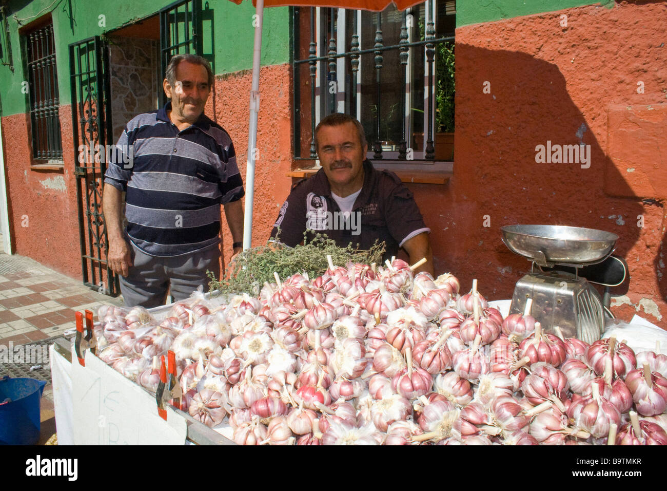 Local spanish men working at the la linea market selling garlic stock 