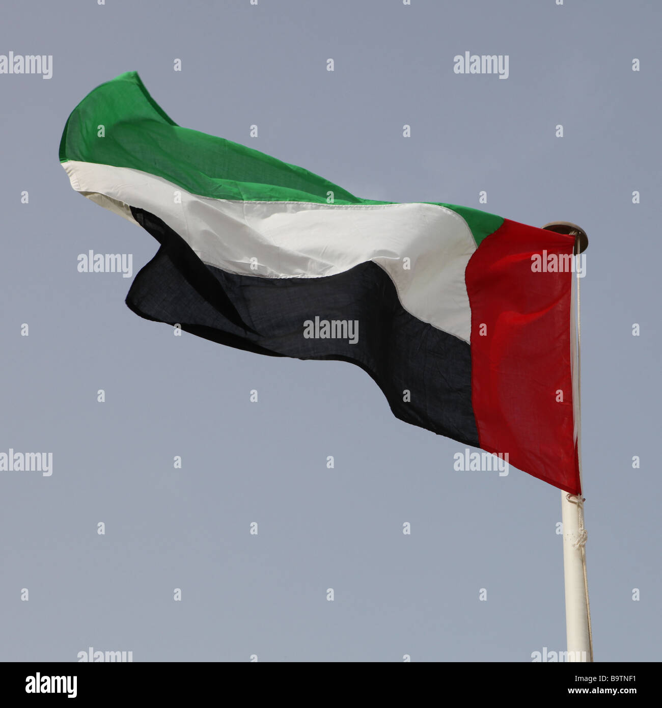 The flag of the United Arab Emirates a member of the Gulf Co operation Council Stock Photo