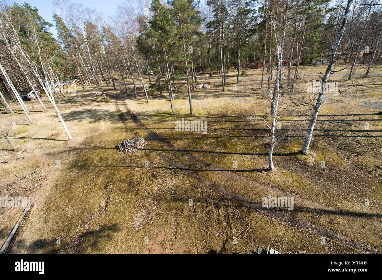 aerial of forest, Sweden Stock Photo
