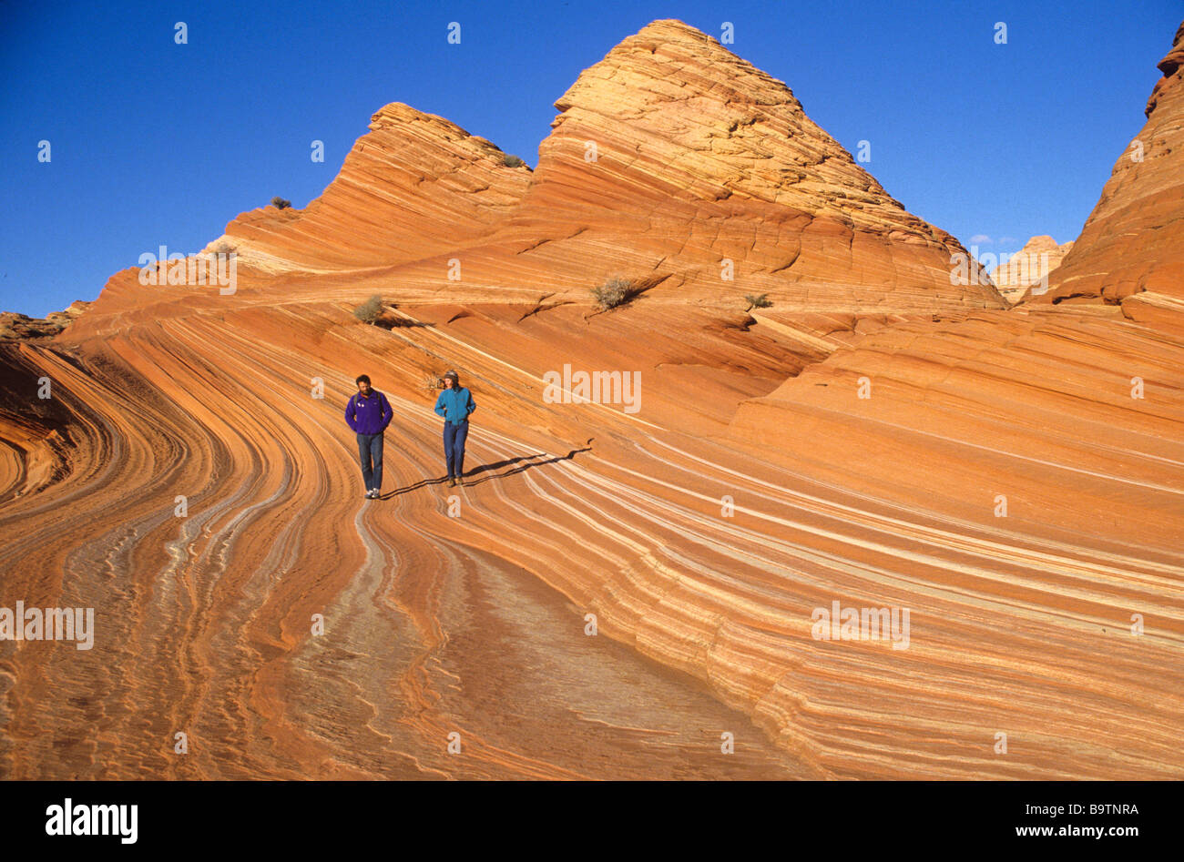 Hikers on cross bedding patterns in Navajo Sandstone Paria Canyon Wilderness Area Vermilion Cliffs National Monument Arizona Stock Photo