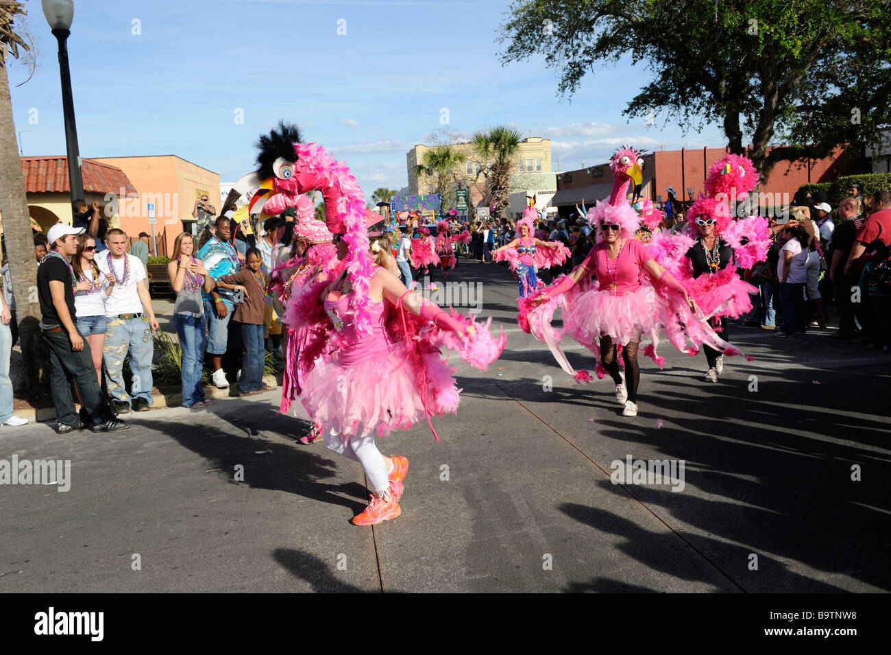 mardi gras flamingo costume