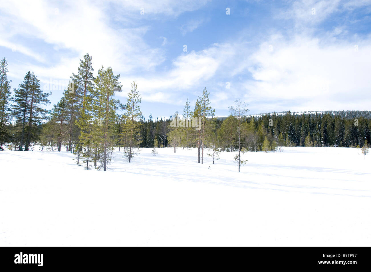 Winter landscape from Dalarna, Sweden Stock Photo