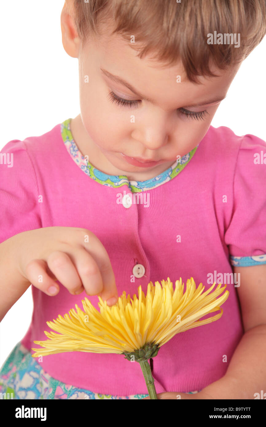 little girl with yellow flower Stock Photo Alamy