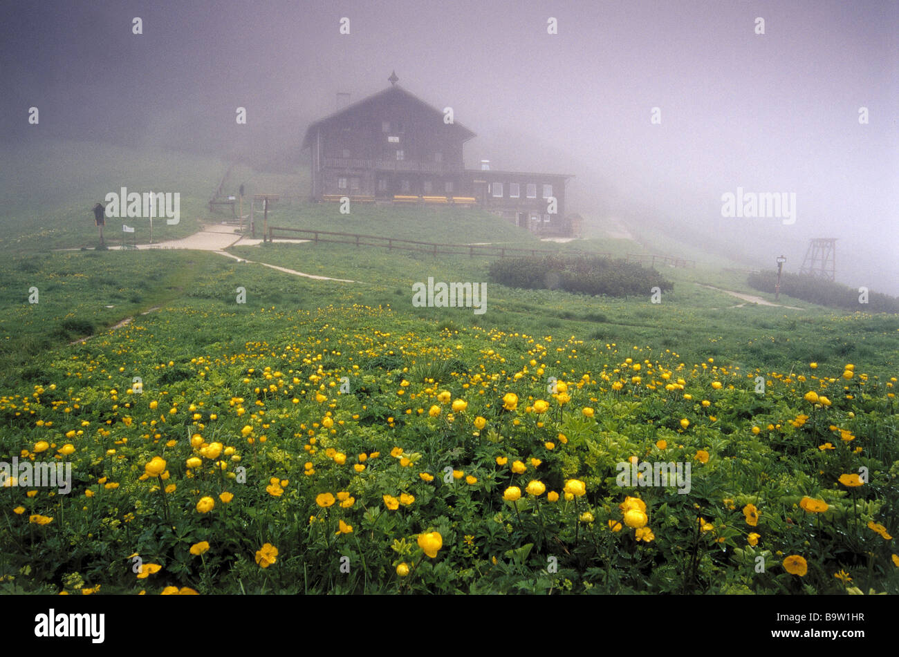Carl Von Stahl Haus Stock Photos Carl Von Stahl Haus Stock