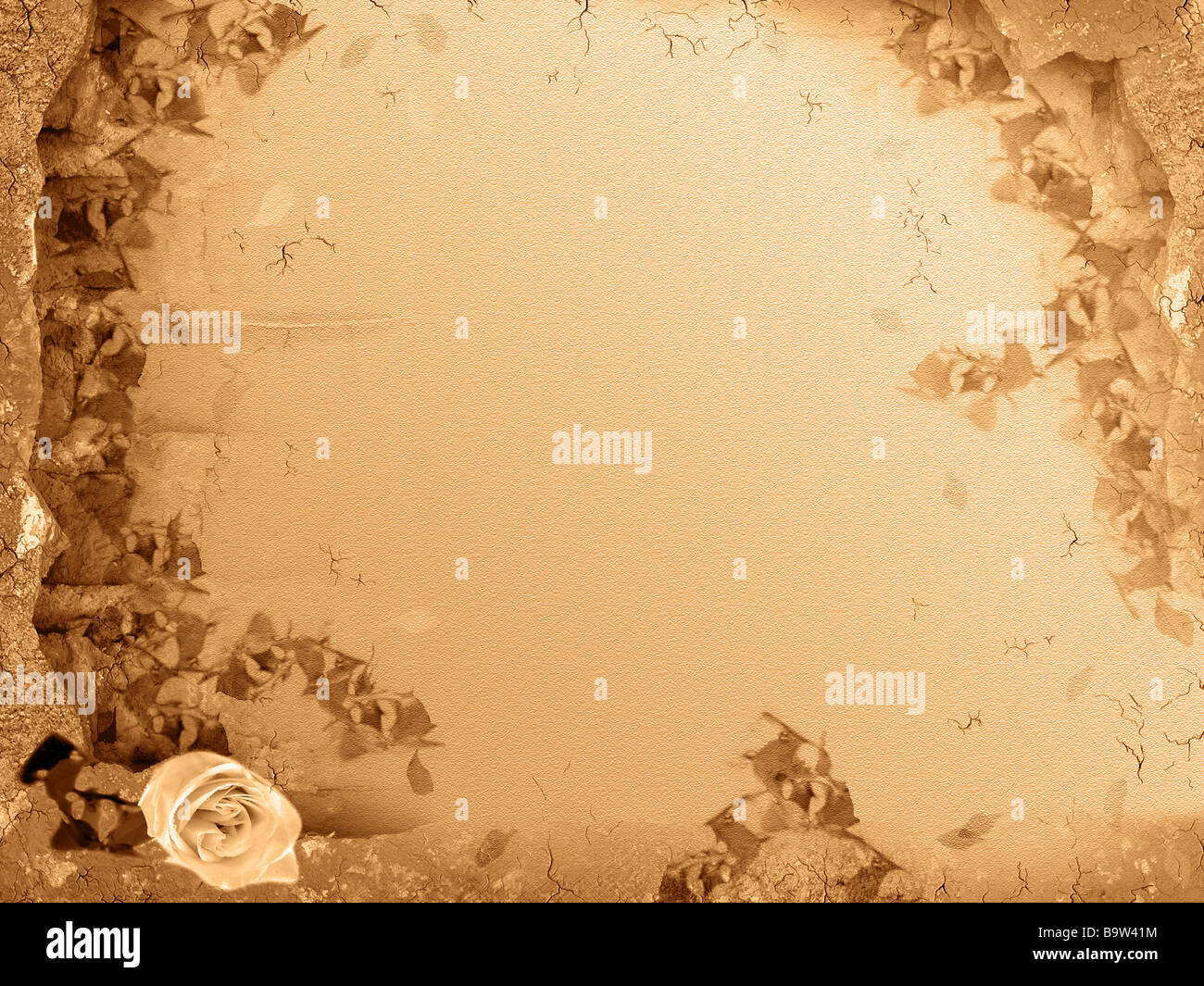 grunge frame wall with flower Stock Photo - Alamy