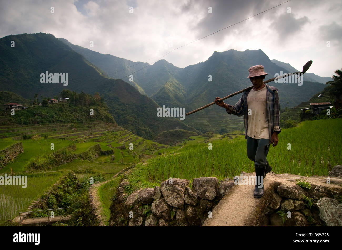 Farmer in the rice terraces of Batad. Stock Photo