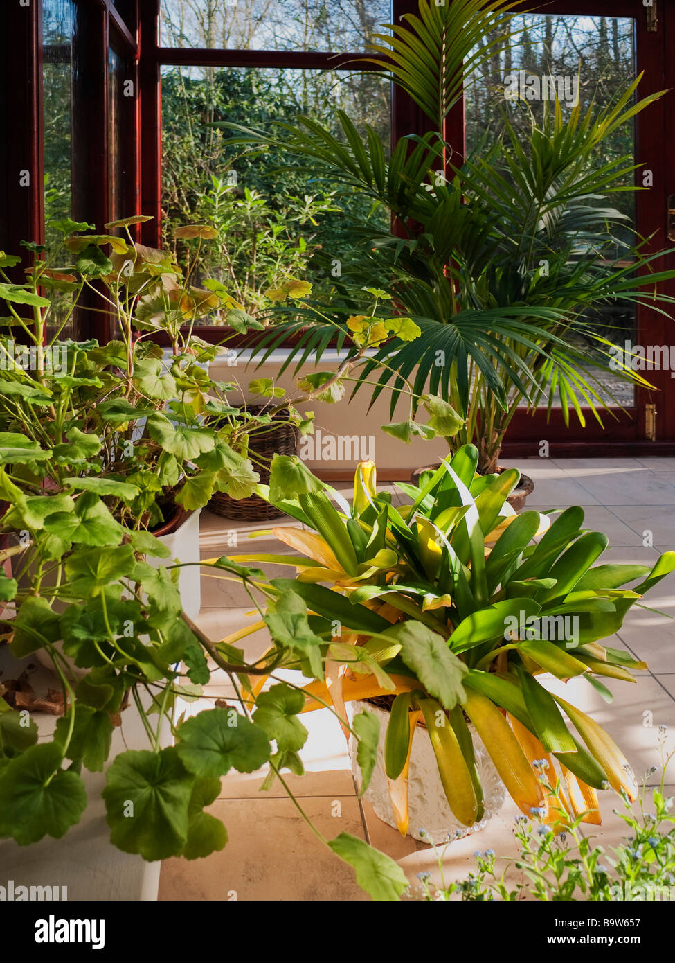 House plants conservatory hi-res stock photography and images - Alamy
