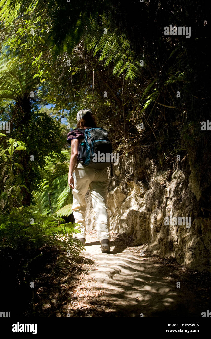 Woman trekking in Abel Tasman national park, New Zealand Stock Photo