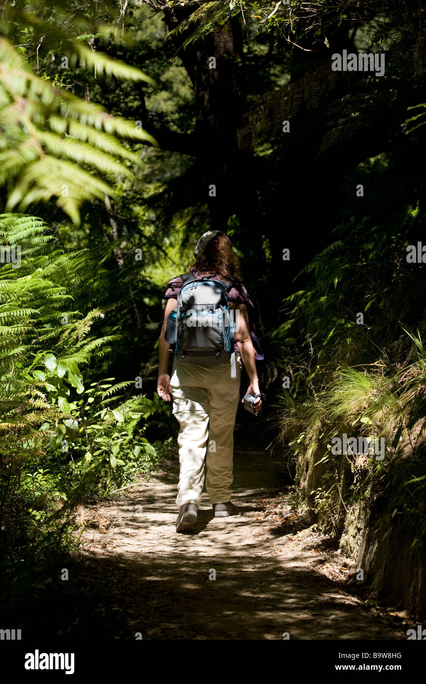 Woman trekking in Abel Tasman national park, New Zealand Stock Photo