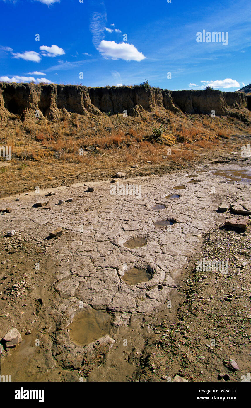 Fossil Dinosaur trackway site in creek bed below Black Mesa north of