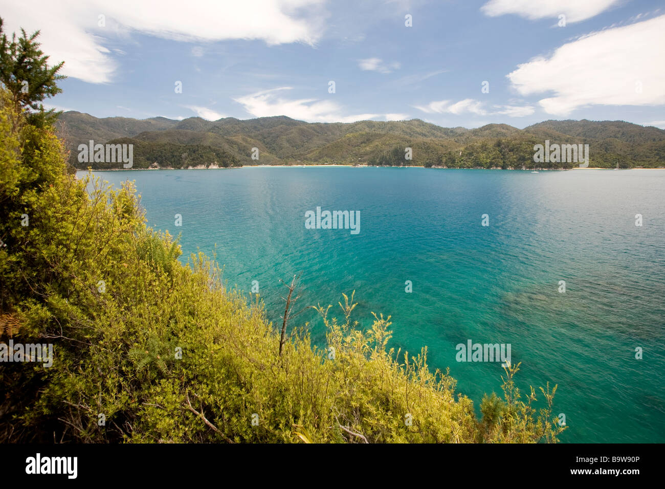 Abel Tasman national park, New Zealand Stock Photo - Alamy
