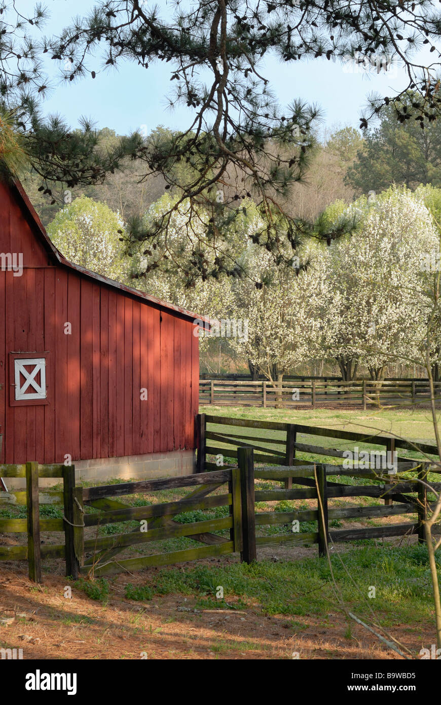 Georgia Farm Stock Photo