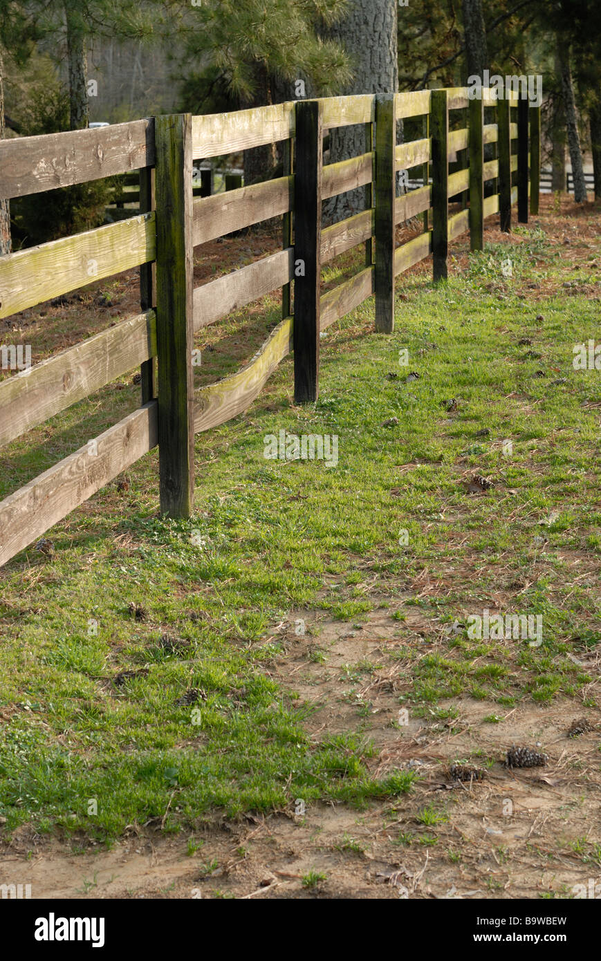 Fencerow Stock Photo