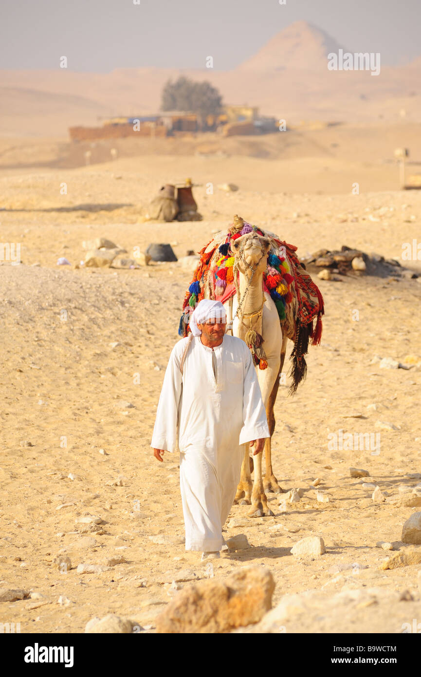 Egypt Giza saqqara or saqqarah a camel driver walks through the desert near the pyramids Stock Photo