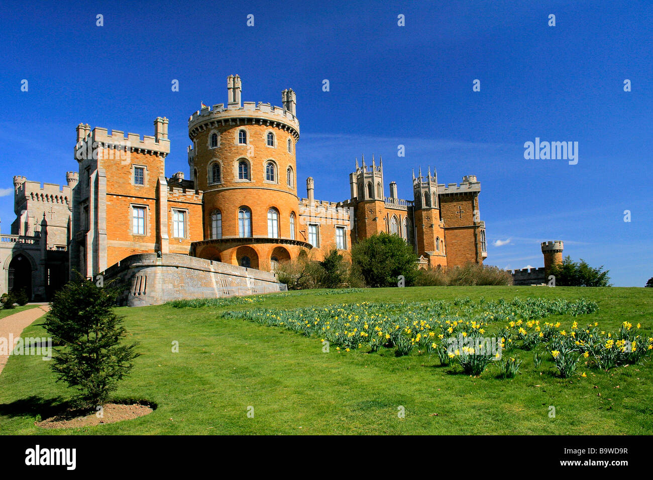 Landscape Belvoir Castle Spring Daffodil Flowers Leicestershire County England UK Stock Photo