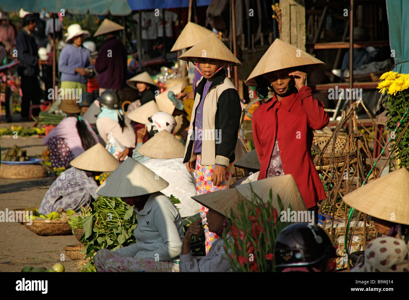 conical hats on the market in Hoi An Vietnam Stock Photo