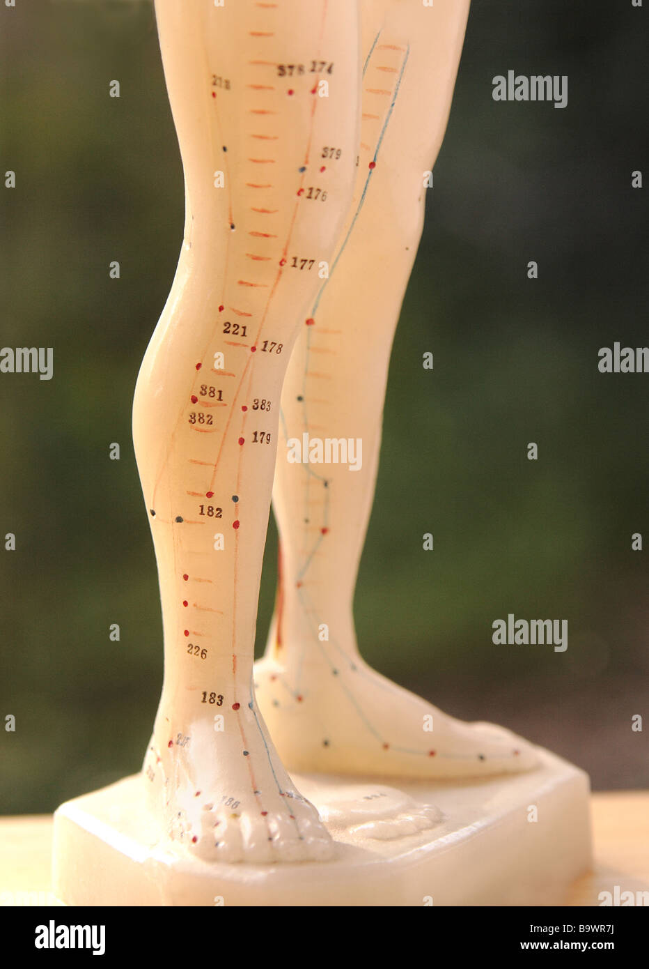 close-up view of an acupuncture figure's legs Stock Photo - Alamy