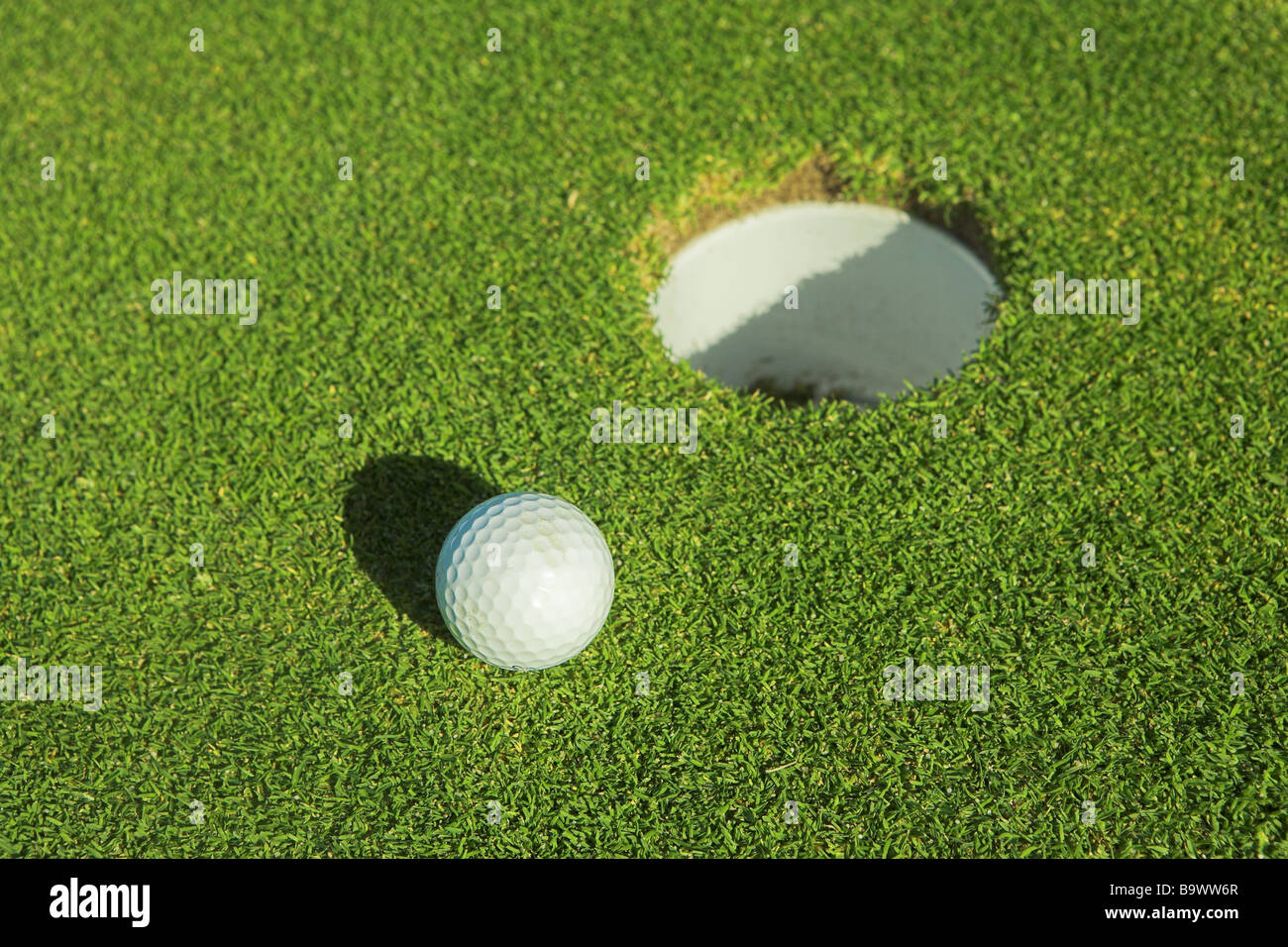 A golf ball on the green Stock Photo Alamy