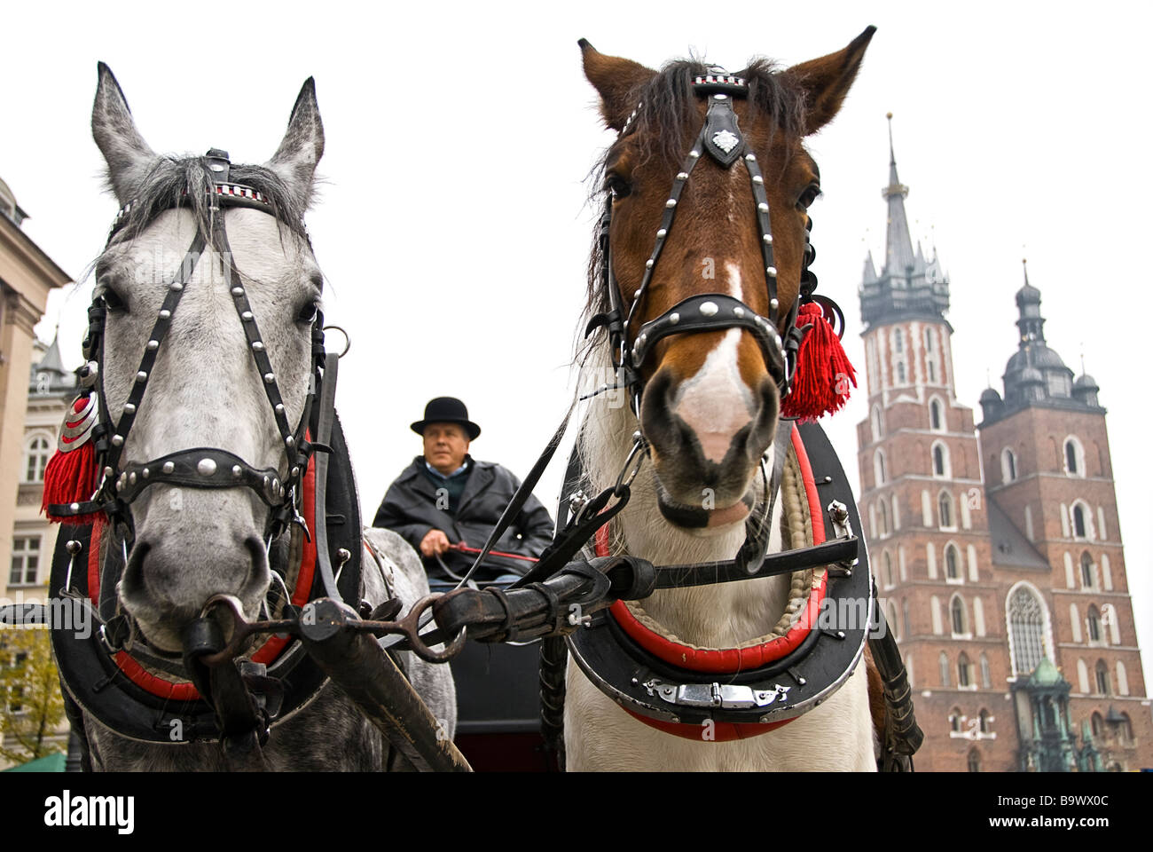 Horsecarts waiting for tourists to promenade in the market square of Krakow, Poland, Europe Stock Photo