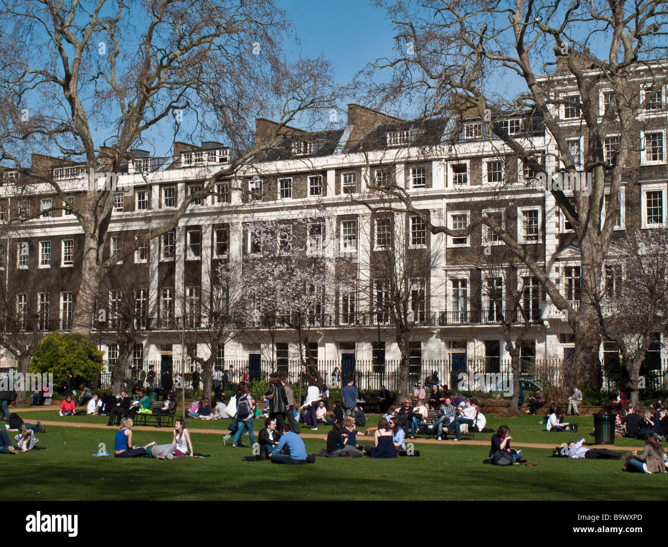 Gordon Square, Bloomsbury, London, WC1, England, UK Stock Photo Alamy
