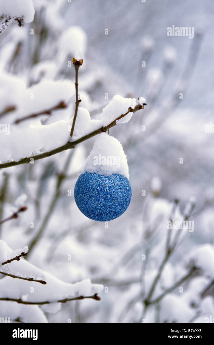 Outdoors with blue Christmas ornament hanging from a branch covered ...